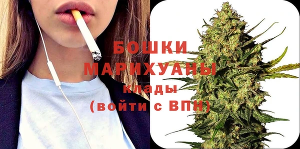 ПСИЛОЦИБИНОВЫЕ ГРИБЫ Новозыбков